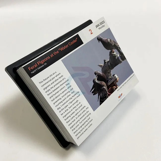 Günlük Sayfa Koparmalı Takvimlere Özel Tasarımlar Nasıl Eklenebilir?